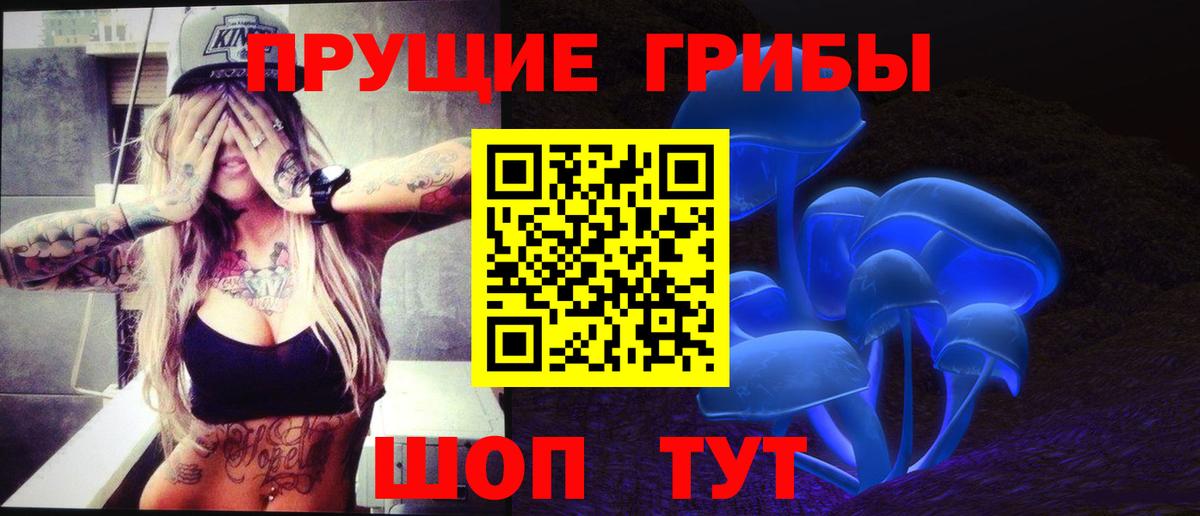 Галлюциногенные грибы Psilocybe  Вход с VPN  Октябрьский  Галлюциногенные грибы GOLDEN TEACHER 