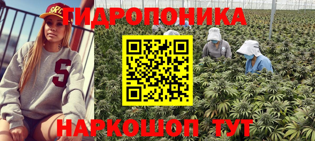 Канабис план Октябрьский